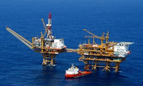 �����I�򼯈F�͑�